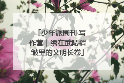 少年派周刊·写作营｜绣在武陵褶皱里的文明长卷