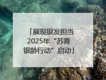 展现银发担当 2025年“苏青银龄行动”启动
