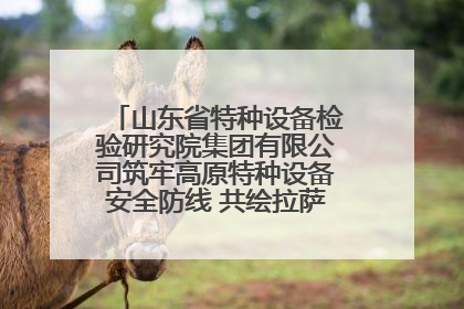 山东省特种设备检验研究院集团有限公司筑牢高原特种设备安全防线 共绘拉萨美好生活画卷