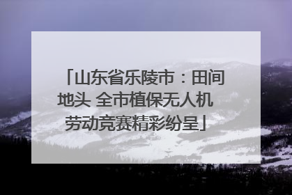 山东省乐陵市：田间地头 全市植保无人机劳动竞赛精彩纷呈