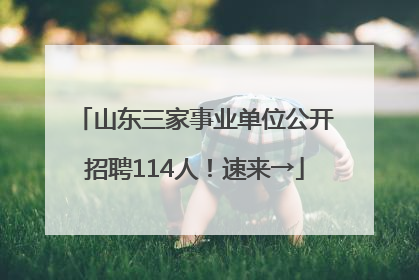 山东三家事业单位公开招聘114人！速来→