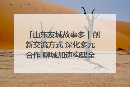 山东友城故事多｜创新交流方式 深化多元合作 聊城加速构建全球友城新格局