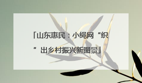山东惠民：小绳网“织”出乡村振兴新图景