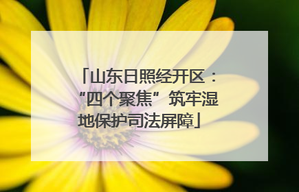 山东日照经开区：“四个聚焦”筑牢湿地保护司法屏障
