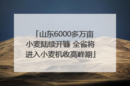 山东6000多万亩小麦陆续开镰 全省将进入小麦机收高峰期