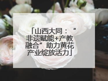 山西大同：“非遗赋能+产教融合”助力黄花产业绽放活力