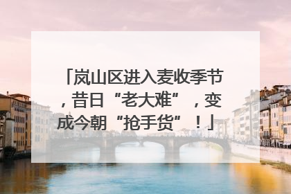岚山区进入麦收季节，昔日“老大难”，变成今朝“抢手货”！