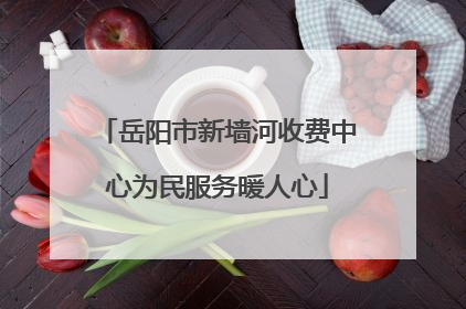 岳阳市新墙河收费中心为民服务暖人心