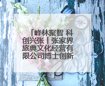 峰林聚智 科创兴张丨张家界旅典文化经营有限公司博士创新站：让土家织锦“智”造出非遗新传奇
