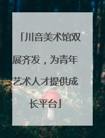 川音美术馆双展齐发，为青年艺术人才提供成长平台