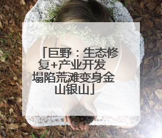 巨野：生态修复+产业开发 塌陷荒滩变身金山银山