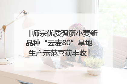 师宗优质强筋小麦新品种“云麦80”旱地生产示范喜获丰收