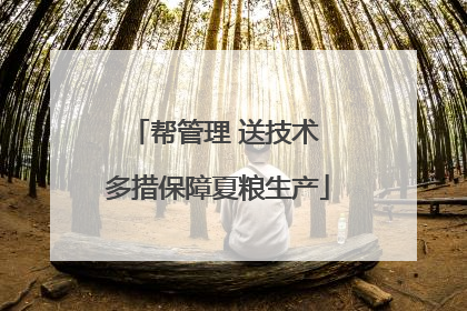 帮管理 送技术 多措保障夏粮生产