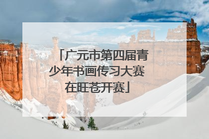 广元市第四届青少年书画传习大赛在旺苍开赛