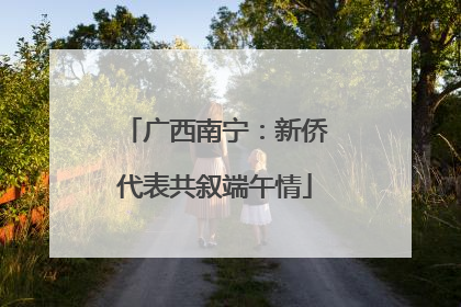广西南宁：新侨代表共叙端午情