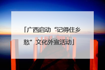 广西启动“记得住乡愁”文化外宣活动