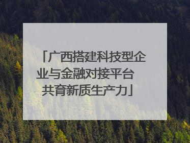 广西搭建科技型企业与金融对接平台 共育新质生产力