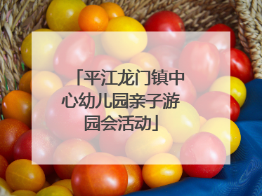 平江龙门镇中心幼儿园亲子游园会活动