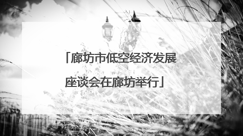 廊坊市低空经济发展座谈会在廊坊举行