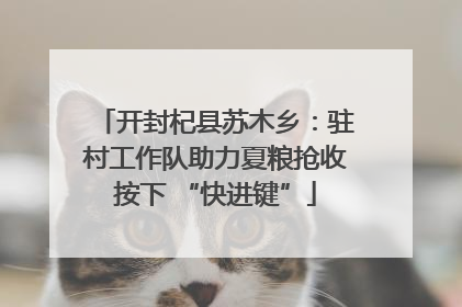 开封杞县苏木乡：驻村工作队助力夏粮抢收按下 “快进键”
