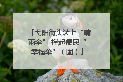 弋阳街头装上“晴雨伞” 撑起便民“幸福伞”（图）
