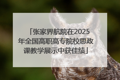 张家界航院在2025年全国高职高专院校思政课教学展示中获佳绩