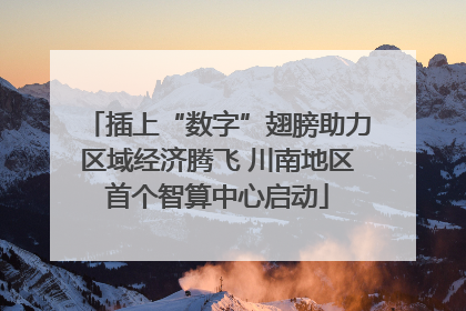插上“数字”翅膀助力区域经济腾飞 川南地区首个智算中心启动