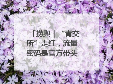 捞舆｜“青交所”走红，流量密码是官方带头“玩起来”