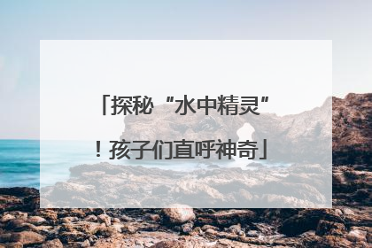 探秘“水中精灵”！孩子们直呼神奇