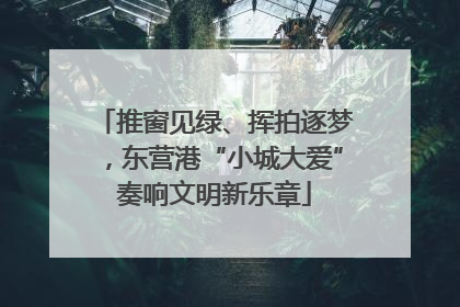 推窗见绿、挥拍逐梦，东营港“小城大爱”奏响文明新乐章