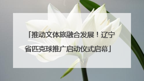 推动文体旅融合发展！辽宁省匹克球推广启动仪式启幕