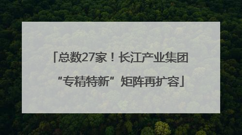 总数27家！长江产业集团“专精特新”矩阵再扩容