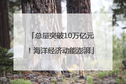 总量突破10万亿元！海洋经济动能澎湃