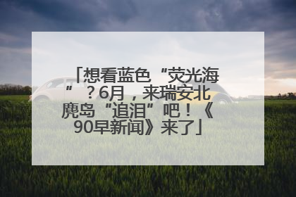 想看蓝色“荧光海”？6月，来瑞安北麂岛“追泪”吧！《90早新闻》来了