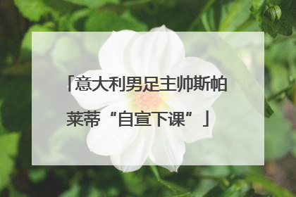 意大利男足主帅斯帕莱蒂“自宣下课”