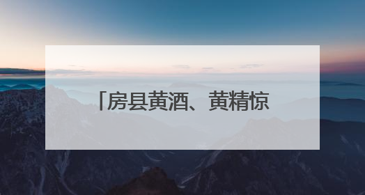 房县黄酒、黄精惊艳亮相中国国际文化产业博览交易会