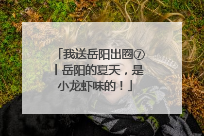 我送岳阳出圈⑦丨岳阳的夏天，是小龙虾味的！