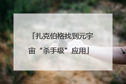 扎克伯格找到元宇宙“杀手级”应用