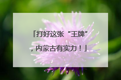 打好这张“王牌”，内蒙古有实力！