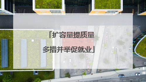 扩容量提质量 多措并举促就业