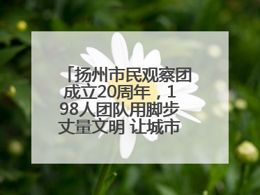 扬州市民观察团成立20周年，198人团队用脚步丈量文明 让城市更有温度