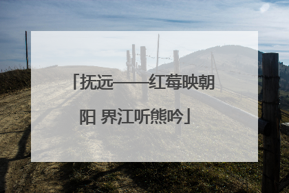 抚远——红莓映朝阳 界江听熊吟
