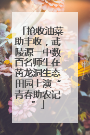 抢收油菜助丰收，武陵源一中数百名师生在黄龙洞生态田园上演“青春助农记”