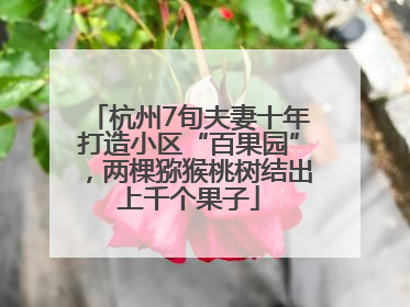 杭州7旬夫妻十年打造小区“百果园”，两棵猕猴桃树结出上千个果子