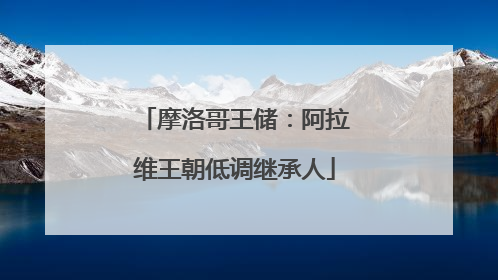 摩洛哥王储：阿拉维王朝低调继承人
