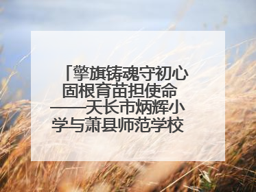 擎旗铸魂守初心 固根育苗担使命——天长市炳辉小学与萧县师范学校附属小学结对共建活动纪实