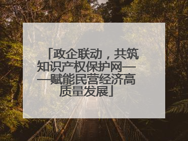 政企联动，共筑知识产权保护网——赋能民营经济高质量发展