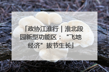 政协江淮行｜淮北段园新型功能区：“飞地经济”拔节生长