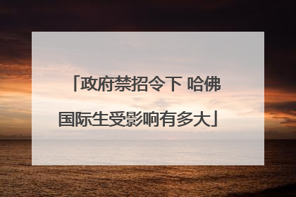 政府禁招令下 哈佛国际生受影响有多大