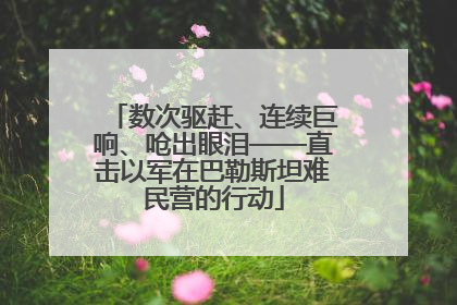 数次驱赶、连续巨响、呛出眼泪——直击以军在巴勒斯坦难民营的行动